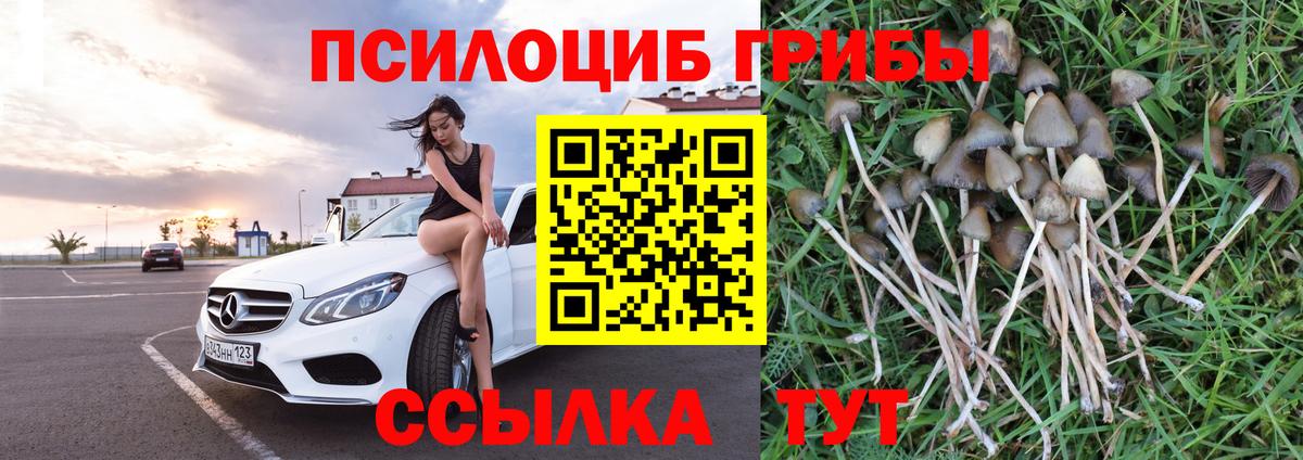 Псилоцибиновые грибы MAGIC MUSHROOMS Советск
